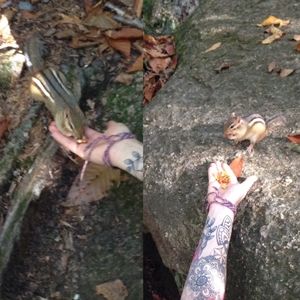 Add me and shop my closet.